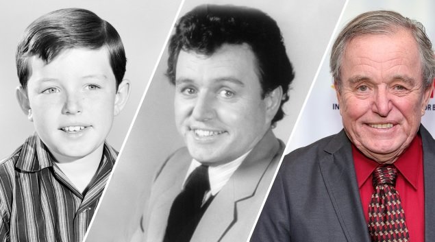 jerry mathers net worth